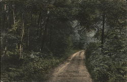 Roadway Toward Waushacum Postcard