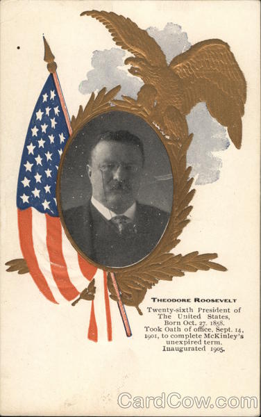 President Theodore Roosevelt Presidents