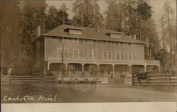 Carlotta Hotel Postcard