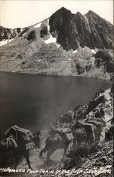 Stock #523586 Thumbnail