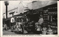 Souvenir of Santana's Curio Shop Postcard