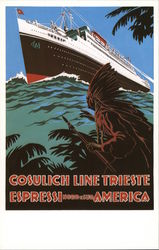 Cosulich Line Trieste Postcard