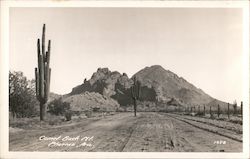 Camel Back Mountain Postcard