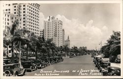 Biscayne boulevard on a sunny Winter day Miami, FL R.E. Simpson Postcard Postcard Postcard