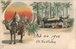 Egypt Scene Postcard