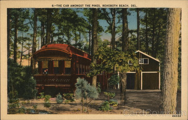 The Car Amongst the Pines Rehoboth Beach Delaware