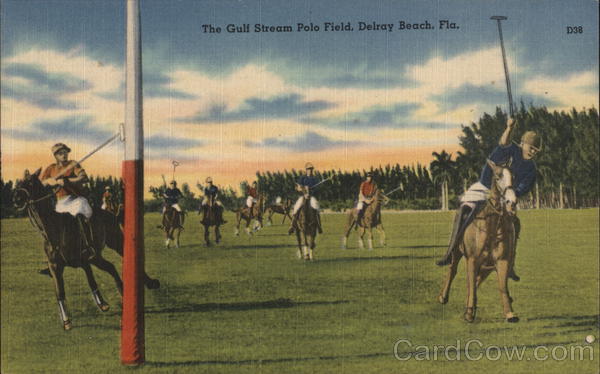 The Gulf Stream Polo Field Delray Beach Florida