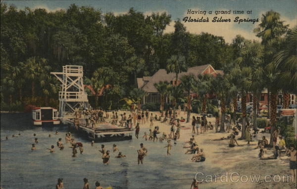Having a Grand Time at Florida's Silver Springs