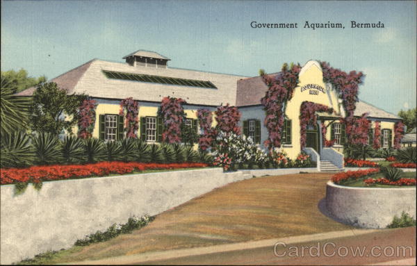 Government Aquarium Bermuda