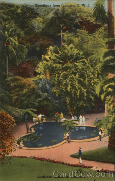 Greetimngs from Jamaica B.W.I.