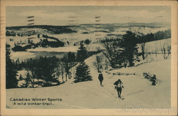 Winter Scene With Cross-Country Skiiers Canada Misc. Canada