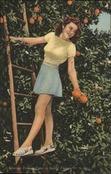 Orange Picking Time in Sunny Florida Postcard