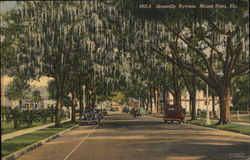 Donnelly Avenue Mount Dora, FL Postcard Postcard Postcard