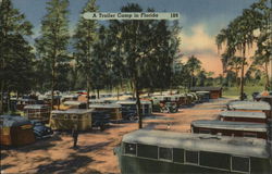 Trailer Camp Florida Postcard Postcard Postcard