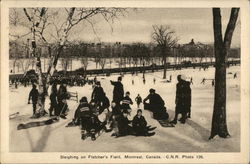 Sleighing on Fletcher's Field Postcard