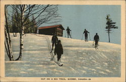 Out on a Ski Trail Quebec Canada Postcard Postcard Postcard