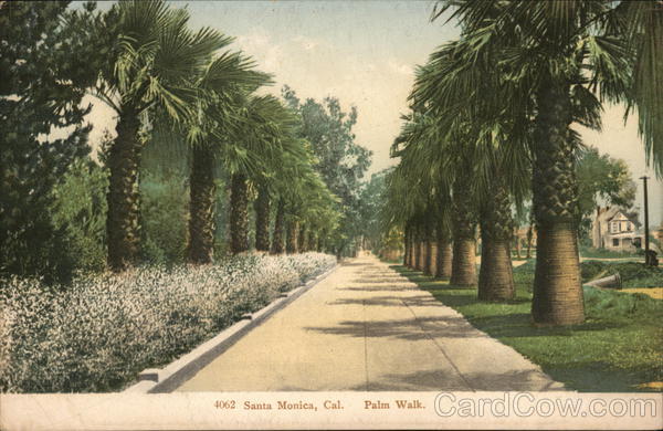 Palm Walk Santa Monica California