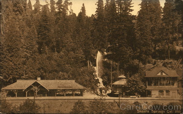 View of Spring Shasta Springs California