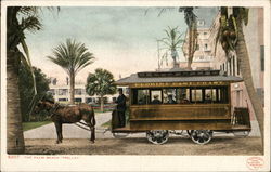 The Palm Beach Trolley Florida Postcard Postcard Postcard