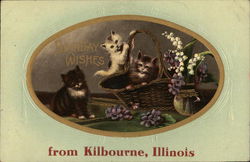 Birthday Wishes from Kilbourne, Illinois - Basket of Kittens Postcard