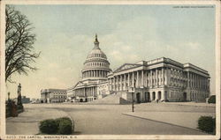 The Capitol Washington, DC Washington DC Postcard Postcard Postcard