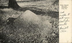 Giant Mound Ant Hill Postcard