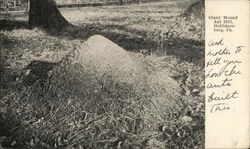 Giant Mound Ant Hill Hollidaysburg, PA Postcard Postcard Postcard