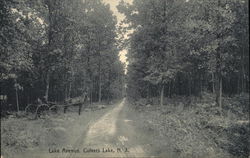 Looking Along Lake Avenue Culvers Lake, NJ Postcard Postcard Postcard