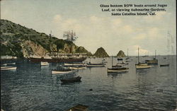 Glass Bottom Row Boats Around Sugar Loaf, or Viewing Submarine Gardens Santa Catalina Island, CA Postcard Postcard Postcard