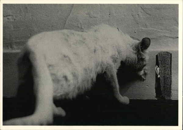 Mousehole Teresa De Poe Photographic Art