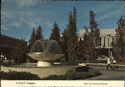 California State University at Fresno - Fountain and Campus