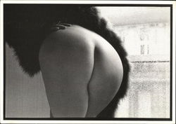 Fur and Skin Risque & Nude Postcard Postcard Postcard