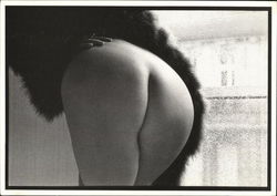 Fur and Skin Fur and Skin