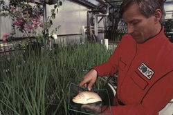 BioSphere2 - Catch of the Day Postcard