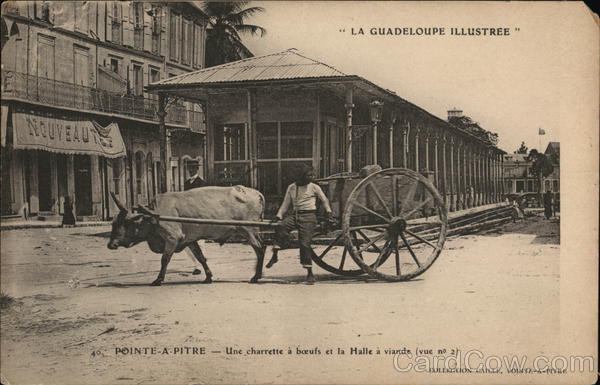 Point-a-pitre - Una charrette a beufs et la halle a viande Pointe-à-Pitre Guadeloupe