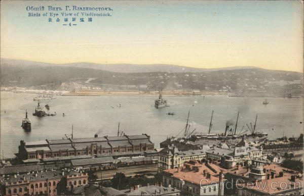 Birds of Eye View of Vladivostock Russia