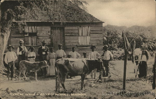 Typical House & Group of Natives, Barbados Caribbean Islands
