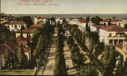 Rotshild Avenue Tel-Aviv, Israel Middle East Postcard Postcard