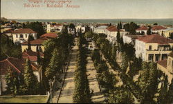 Rotshild Avenue Postcard