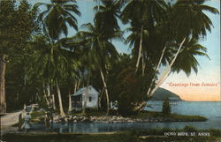 Greetings from jamaica. Ocho Rios, Jamaica Postcard Postcard