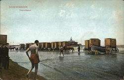 Scheveningen - Heerenbaden Postcard