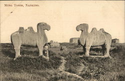 Ming Tombs Nanking, China Postcard Postcard