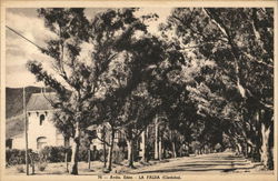 Avenida Eden Avenida Eden