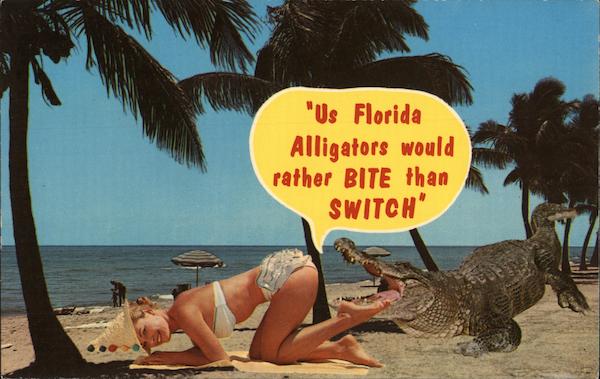 Us Florida Alligators Would Rather Bite Than Switch