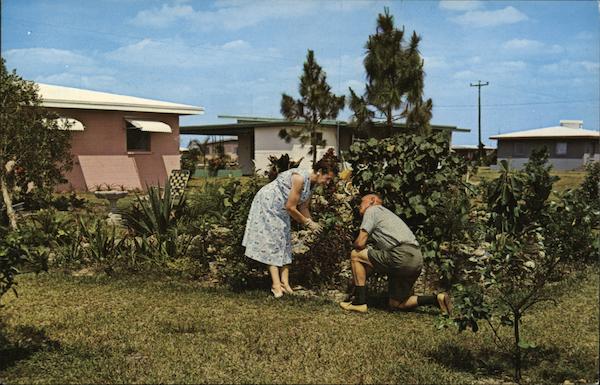 Gardening 365 Days a Year Lehigh Acres Florida