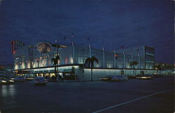 Webb City at Night St. Petersburg, FL Postcard Postcard Postcard