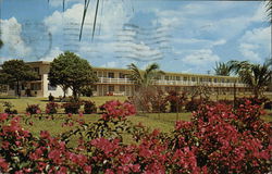 Boca Raton Bible Conference Grounds Florida Postcard Postcard Postcard