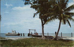 Automobile Ferry from Punta Rassa Postcard