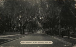 South Prospect Street Crescent City, FL Postcard Postcard Postcard