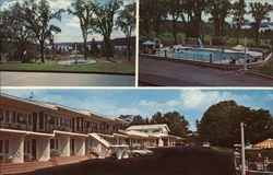 Spring Fountain Motel Postcard